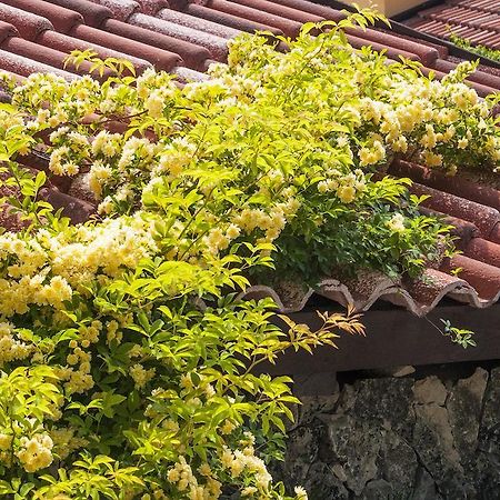 Villa Barbara Skradin Ngoại thất bức ảnh